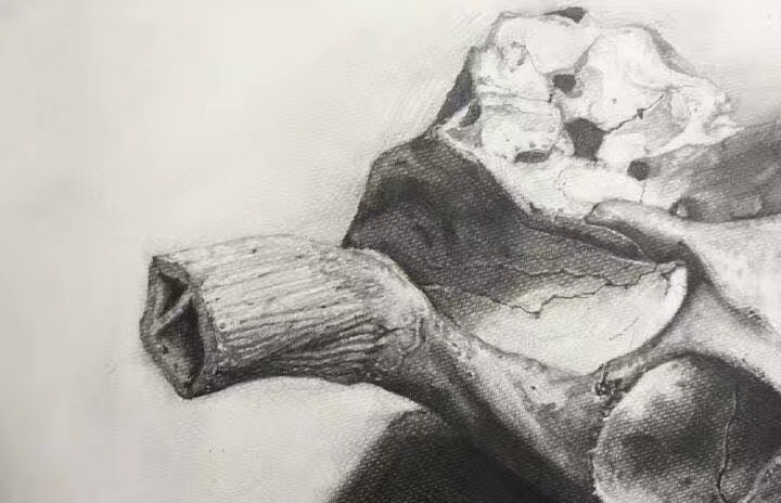 素描54