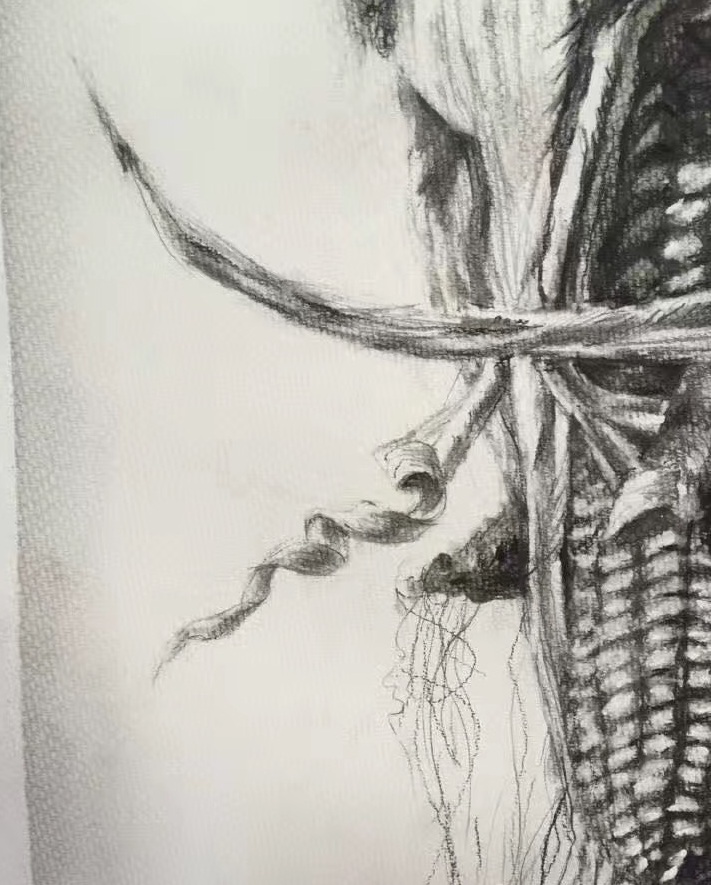 素描39
